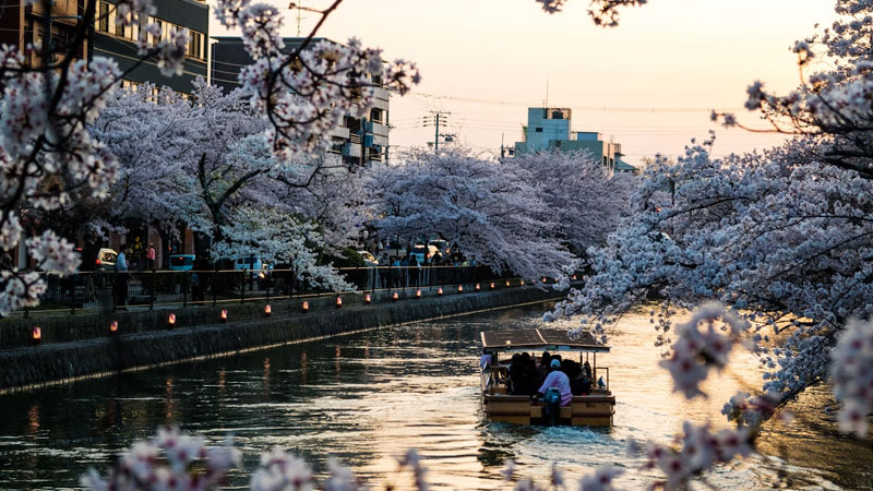 Japon