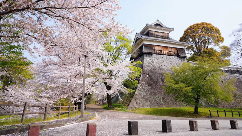 Japon
